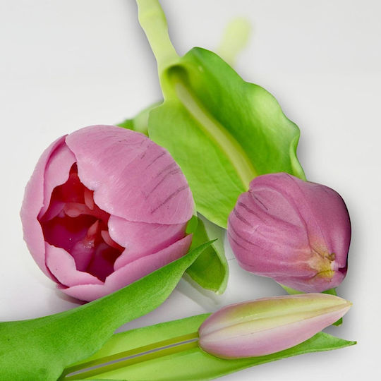 Blumenstrauß aus lila Tulpen 31cm Saska Garden
