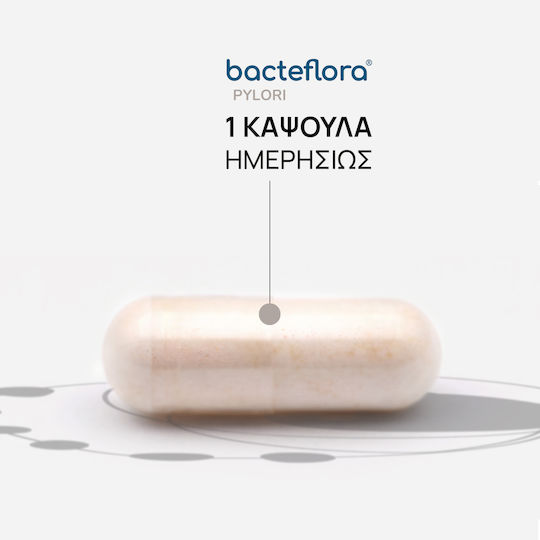 Olonea Bacteflora Pylori Probiotika & Präbiotika für den Helicobacter pylori 14 Kapseln