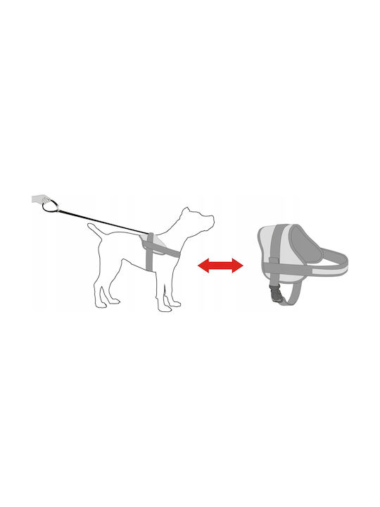 Hobbydog R2 Julletta Blue Harness