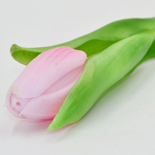 Saska Garden Pink Tulip 31cm Lifelike Spring Decoration