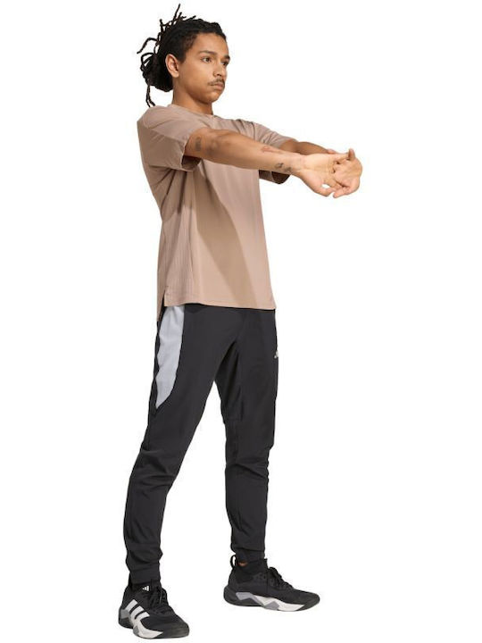 Sweatpants Black