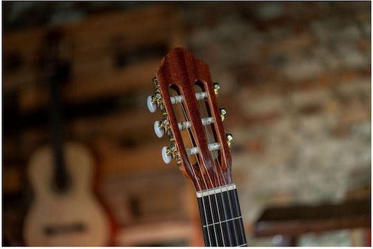 Peavey Electro-Classical Guitar 4/4