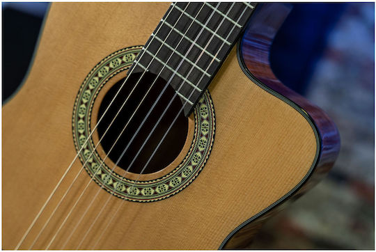 Peavey Electro-Classical Guitar 4/4