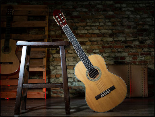Peavey Classical Guitar 4/4