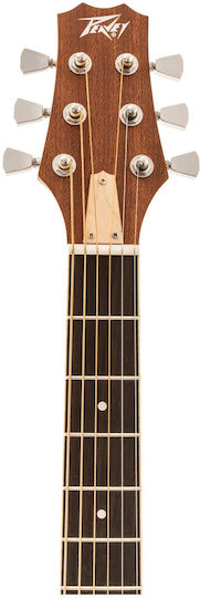 Peavey Acoustic Guitar