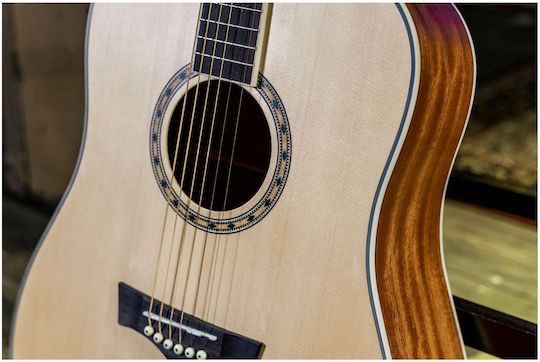 Peavey Acoustic Guitar