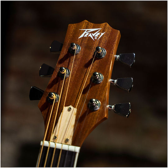 Peavey Semi-Acoustic Guitar