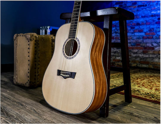 Peavey Acoustic Guitar