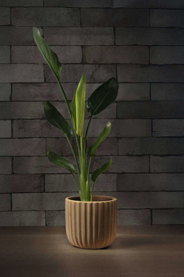 Aquaplant Beige Plant Pot