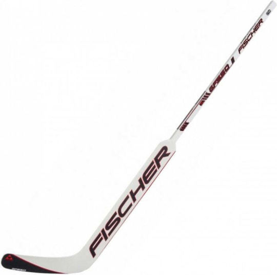 Fischer Sr '20 Baston de Hochei Negru