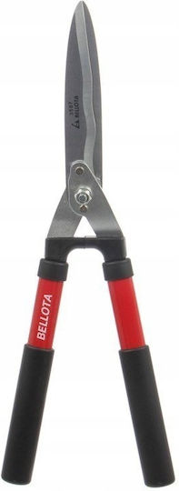 Bellota Shrub 23587
