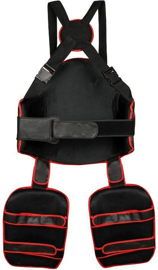 Dbx Guardian Pro Torso + Thigh Protector Set