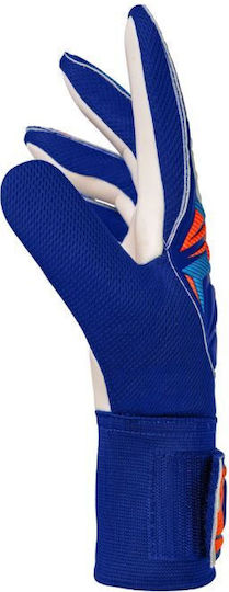 Reusch Reusch Attrakt Starter Solid Γάντια Τερματοφύλακα Ενηλίκων Μπλε