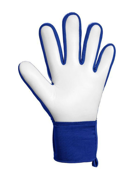 Reusch Reusch Attrakt Starter Solid Γάντια Τερματοφύλακα Ενηλίκων Μπλε