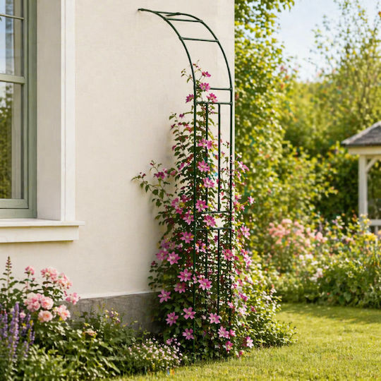 Arc Metalic Pentru Grădină Balcon Terasă Zola Plante Căţărătoare Flori Oţel Acoperit Cu PE 240 X 40 Cm Verde Arc Metalic Pentru Grădină Balcon Terasă Zola Plante Căţărătoare Flori Oţel Acoperit Cu PE 240 X 40 Cm Verde