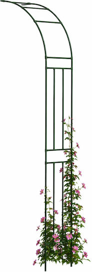 Arc Metalic Pentru Grădină Balcon Terasă Zola Plante Căţărătoare Flori Oţel Acoperit Cu PE 240 X 40 Cm Verde