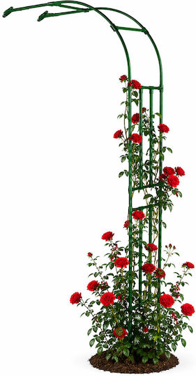 Arc Metalic Pentru Grădină Balcon Terasă Zola Plante Căţărătoare Flori Oţel Acoperit Cu PE 240 X 40 Cm Verde