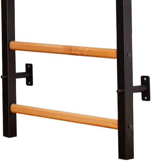 BenchK Bară de tracțiune Perete pentru Utilizator până la 150kg