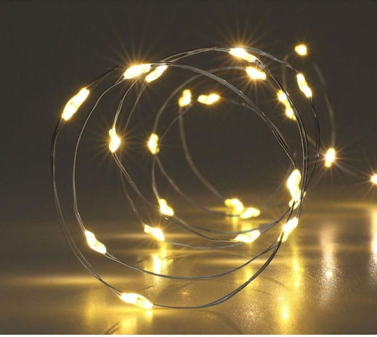 80 LED-Lichter Netz 3,95 m x 5 cm Warmweiß Batteriebetrieben 80 LED-Lichter Netz 3,95 m x 5 cm Warmweiß Batteriebetrieben