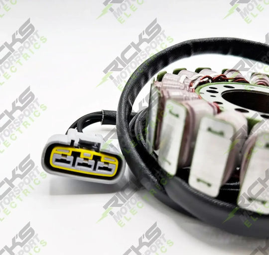 Ricks Motorsport Set Bobine 21-068 1 Buc