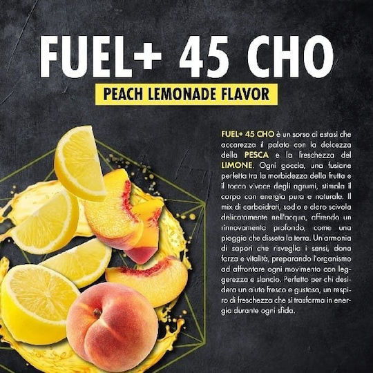 4+ Nutrition Fuel+ 528mg Besondere Nahrungsergänzungsmittel 600gr Pfirsich Zitronenlimonade