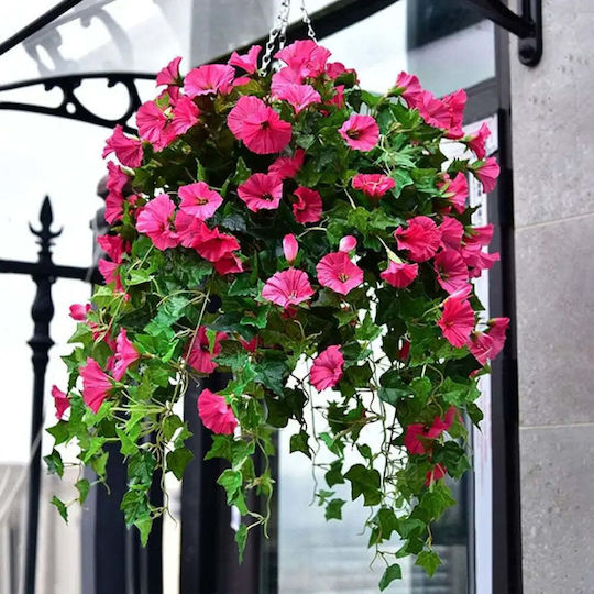 Decorative Greening Hanging Basket Rossima Petunia Pink Color