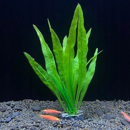 Aqua Natura Pflanze Aquariendekoration Grün Kunststoff 18 Cm Wald Algen
