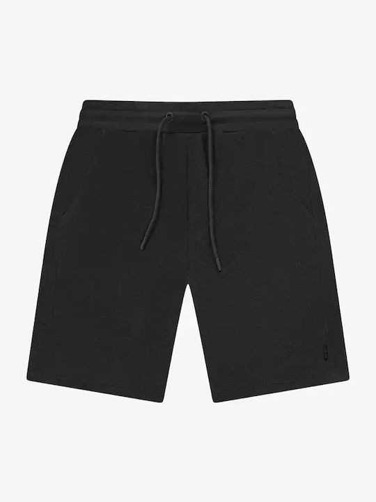 Cars Jeans