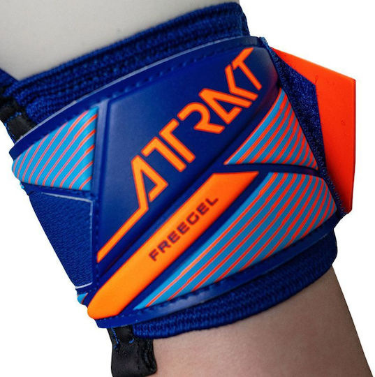 Reusch Attrakt Freegel Goalkeeper Gloves Adults Blue