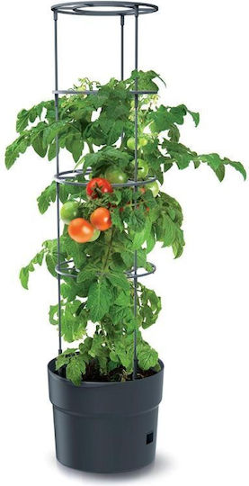 Prosperplast Ghiveci de Plantare