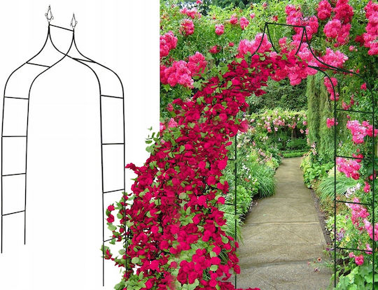 Garden Arch from Metal in Bronze Colour 135x38x245cm