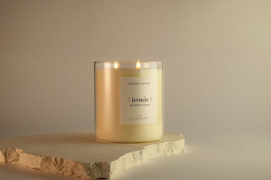 Blossom Tonka Herbal Aromatic Candle With Lid 790gr Iconic Olphactory