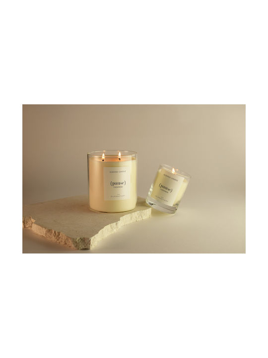 Cashmere Pflanzliches Aromatisches Kerzen Gefäß 790gr Pause Olphactory