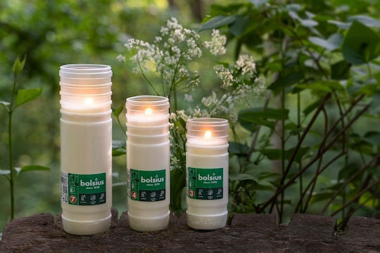 Bolsius Dekoratives Kerze im Gefäß Weiß 4 Stück