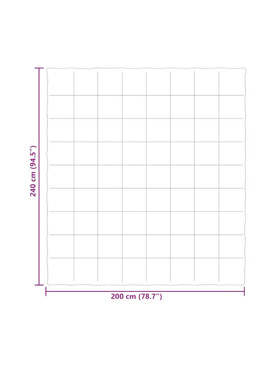 vidaXL Samtige Doppelbettdecke 200x240cm Beige