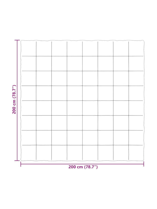 vidaXL Pătură Catifea Dublă 200x200cm Roz