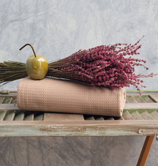 Cokitex Sommer Piqué Decke King Size 265x280cm Beige