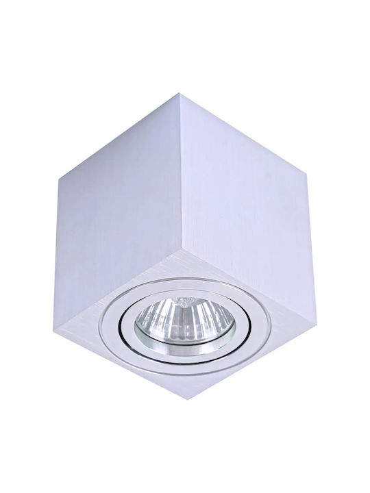 Luna Außen Decken- und Wandleuchte Satin Chrome 8x8cm
