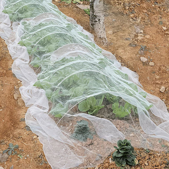 Plasă De Protecție Pentru Grădină Împotriva Insectelor Păsărilor Zola 3 X 6 M Hdpe 80 Plasă Albă