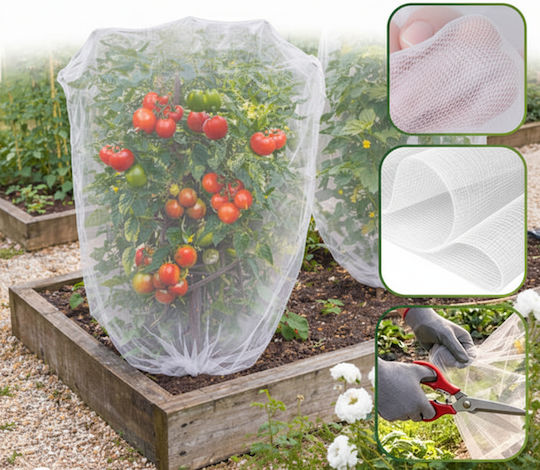 Plasă De Protecție Pentru Grădină Împotriva Insectelor Păsărilor Zola 3 X 6 M Hdpe 80 Plasă Albă