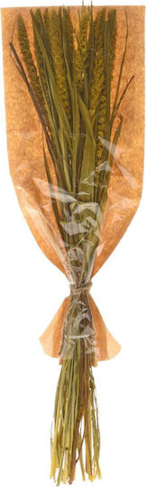 Dry Twigs