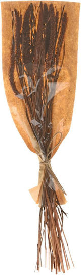 Dry Twigs