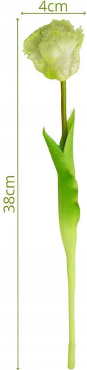 Tulpe Weiß Saska Garden