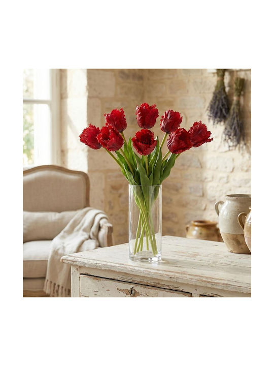 Red Tulip Saska Garden