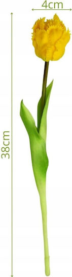 Gelbe Tulpe Saska Garden