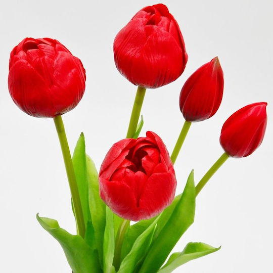 Saska Garden Plant Pot Red Saska Garden Plant Pot Red