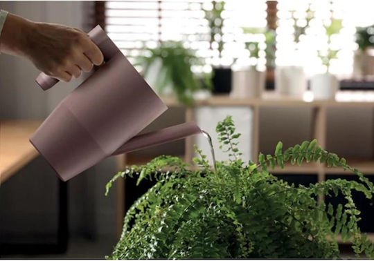 Stropitoare Ibis Jug Verde Pin Verde