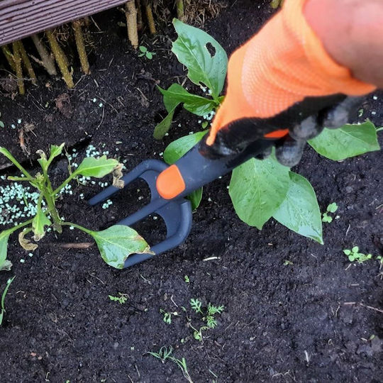 Garden Fork