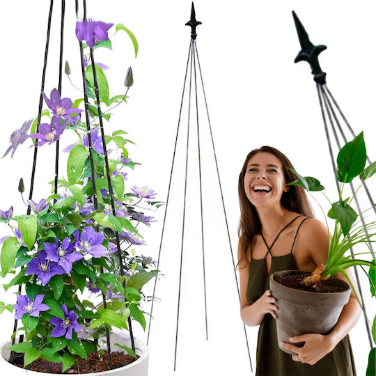 Suport Metalic Pentru Flori Cățărare Plantă Zola Oțel 150 Cm Negru