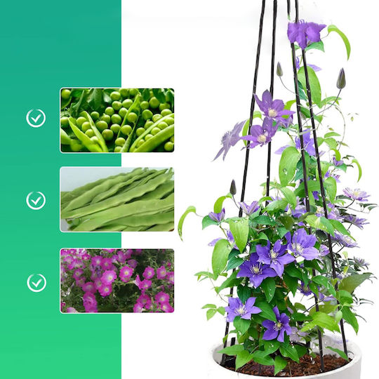 Suport Metalic Pentru Flori Cățărare Plantă Zola Oțel 150 Cm Negru